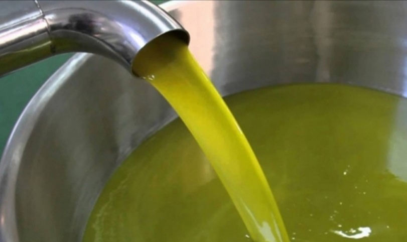 ارتفاع ايرادات تونس من تصدير زيت الزيتون بنسبة 46.8% 